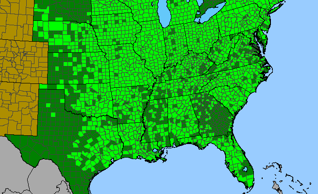 The range of Viola sororia